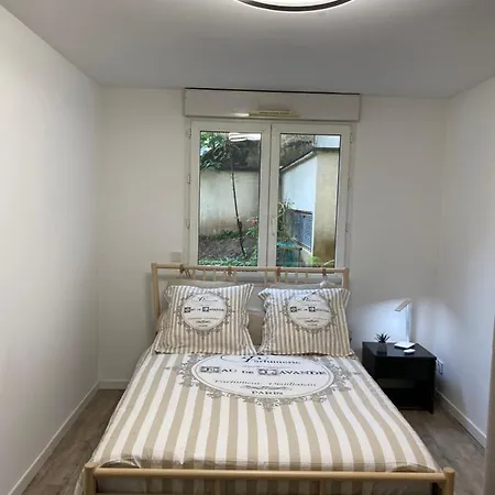 Calm And Comfort: Modern With A Garden *